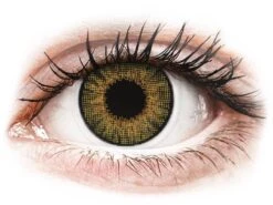 Lentilles De Contact Air Optix Colors Noisette Pure Hazel | Alensa