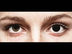 Lentilles De Contact ColorVue Crazy Noir BlackOut | Alensa -ADIDAS || Polaroid || Carrera Soldes 15983 800x600 1