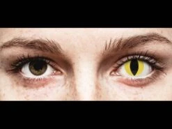 Lentilles De Contact ColorVue Crazy Jaune Cat Eyes | Alensa -ADIDAS || Polaroid || Carrera Soldes 16003 800x600 1