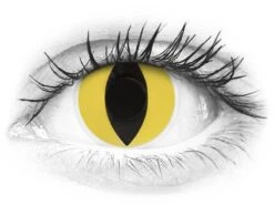 Lentilles De Contact ColorVue Crazy Jaune Cat Eyes | Alensa -ADIDAS || Polaroid || Carrera Soldes 16006 800x600 1