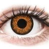 Lentilles De Contact ColourVUE Glamour Orange Honey | Alensa