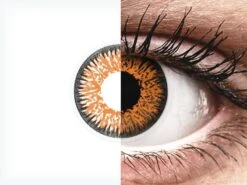 Lentilles De Contact ColourVUE Glamour Orange Honey - Correctrices | Alensa 11 Lentilles De Contact ColourVUE Glamour Orange Honey - Correctrices | Alensa -ADIDAS || Polaroid || Carrera Soldes 16806 800x600 2