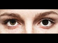 Lentilles De Contact ColourVUE BigEyes Noir Dolly Black - Correctrices | Alensa -ADIDAS || Polaroid || Carrera Soldes 16901 800x600 1