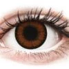 Lentilles De Contact ColourVUE BigEyes Noisette Pretty Hazel - Correctrices | Alensa -ADIDAS || Polaroid || Carrera Soldes 16910 800x600 1