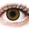 SofLens Natural Colors India - Non Correctrices (2 Lentilles) | Alensa