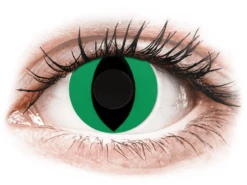 CRAZY LENS - Cat Eye Green - Journalières Non Correctrices (2 Lentilles) | Alensa