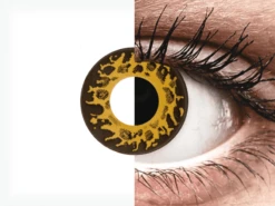 CRAZY LENS - Cheetah - Journalières Correctrices (2 Lentilles) | Alensa -ADIDAS || Polaroid || Carrera Soldes 55220 800x600 1