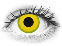 CRAZY LENS - Forest Children - Journalières Correctrices (2 Lentilles) | Alensa -ADIDAS || Polaroid || Carrera Soldes 55227 800x600 1