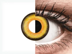 CRAZY LENS - Midnight Sun - Journalières Correctrices (2 Lentilles) | Alensa -ADIDAS || Polaroid || Carrera Soldes 55235 800x600 1