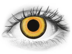 CRAZY LENS - Midnight Sun - Journalières Correctrices (2 Lentilles) | Alensa -ADIDAS || Polaroid || Carrera Soldes 55237 800x600 1