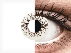 ColourVUE Crazy Lens - Vikingdom - Non Correctrices (2 Lentilles) | Alensa -ADIDAS || Polaroid || Carrera Soldes 56495 800x600 1