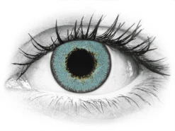 TopVue Daily Color - Blue - Journalières Non Correctrices (2 Lentilles) | Alensa -ADIDAS || Polaroid || Carrera Soldes 63013 800x600 1