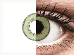 TopVue Daily Color - Green - Journalières Correctrices (2 Lentilles) | Alensa -ADIDAS || Polaroid || Carrera Soldes 63042 800x600 1