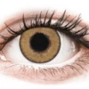 TopVue Daily Color - Honey - Journalières Non Correctrices (2 Lentilles) | Alensa
