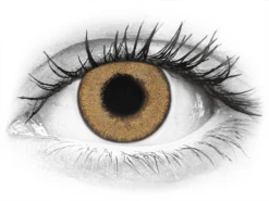 TopVue Daily Color - Honey - Journalières Non Correctrices (2 Lentilles) | Alensa -ADIDAS || Polaroid || Carrera Soldes 63061 800x600 1