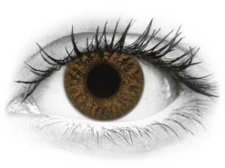 TopVue Color - Honey - Non Correctrices (2 Lentilles) | Alensa -ADIDAS || Polaroid || Carrera Soldes 69783 800x600 1