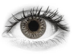 TopVue Color - Grey - Non Correctrices (2 Lentilles) | Alensa -ADIDAS || Polaroid || Carrera Soldes 69812 800x600 1