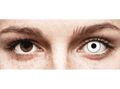 Devant -ADIDAS || Polaroid || Carrera Soldes 83911 800x600 1